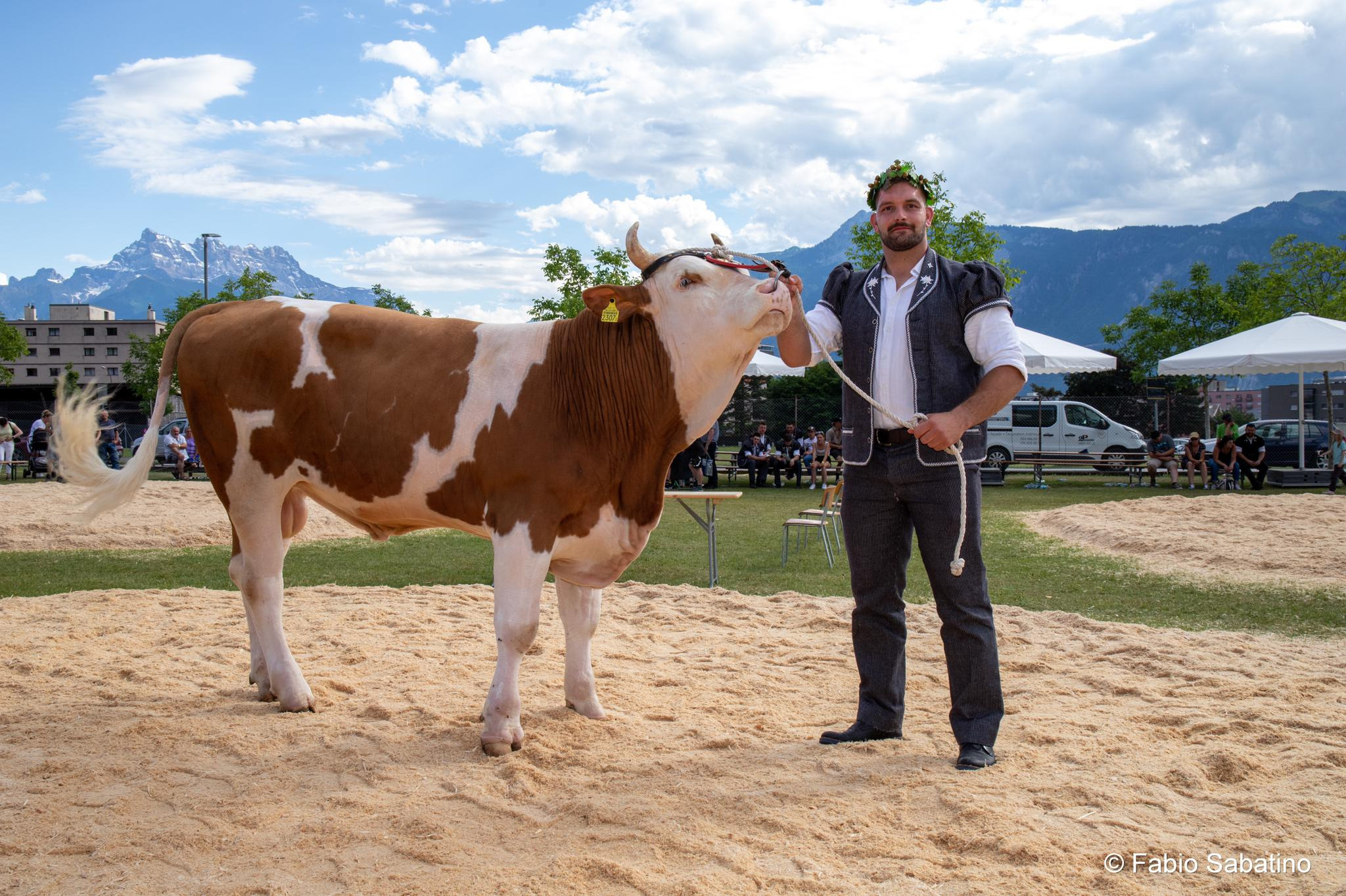 Image Titre à la cantonale vaudoise